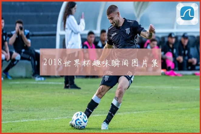 2018世界杯趣味瞬间图片集